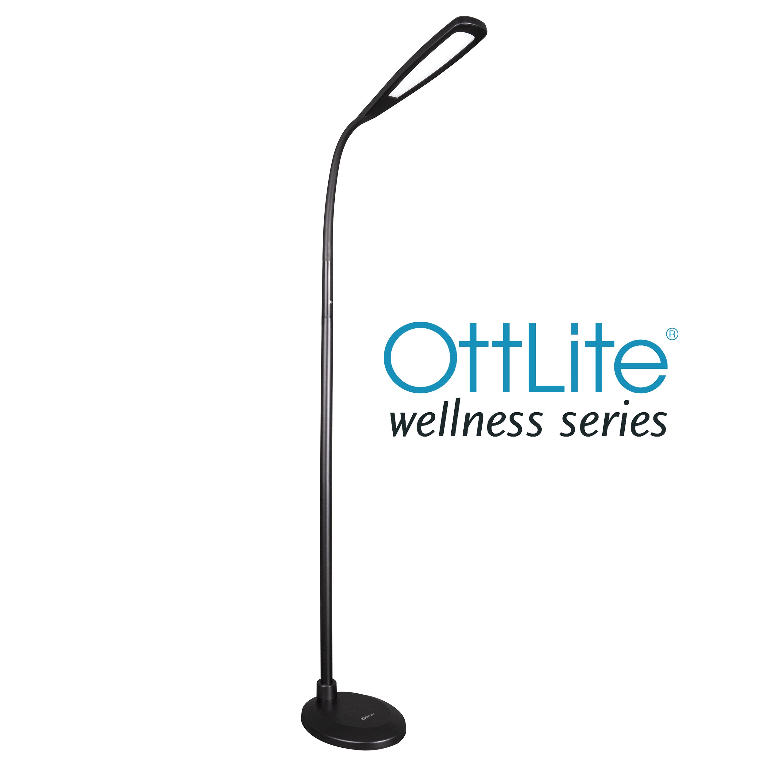 Flex LED Natural Daylight Floor Lamp