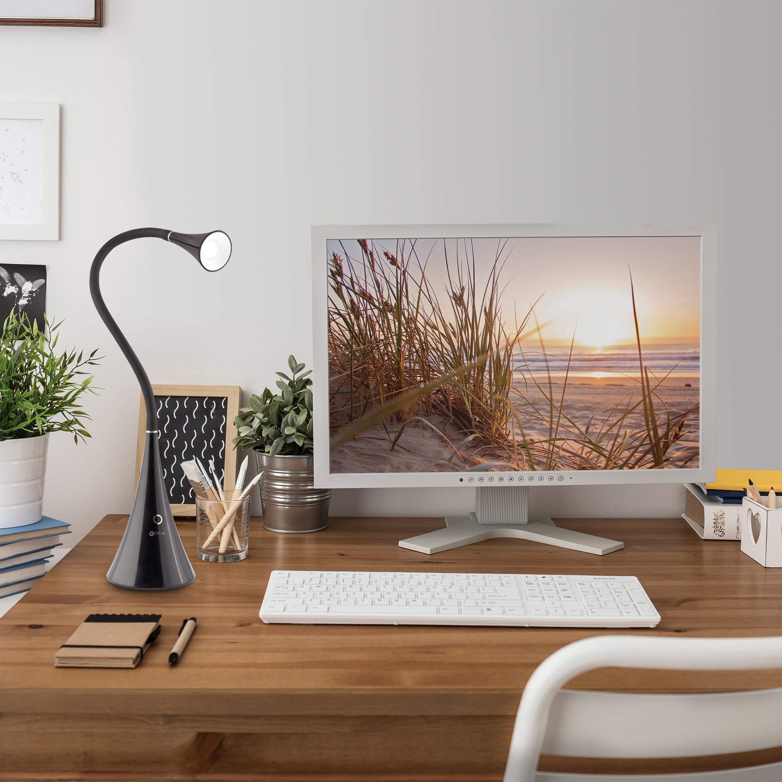 LED FlexNeck Desk Lamp with USB