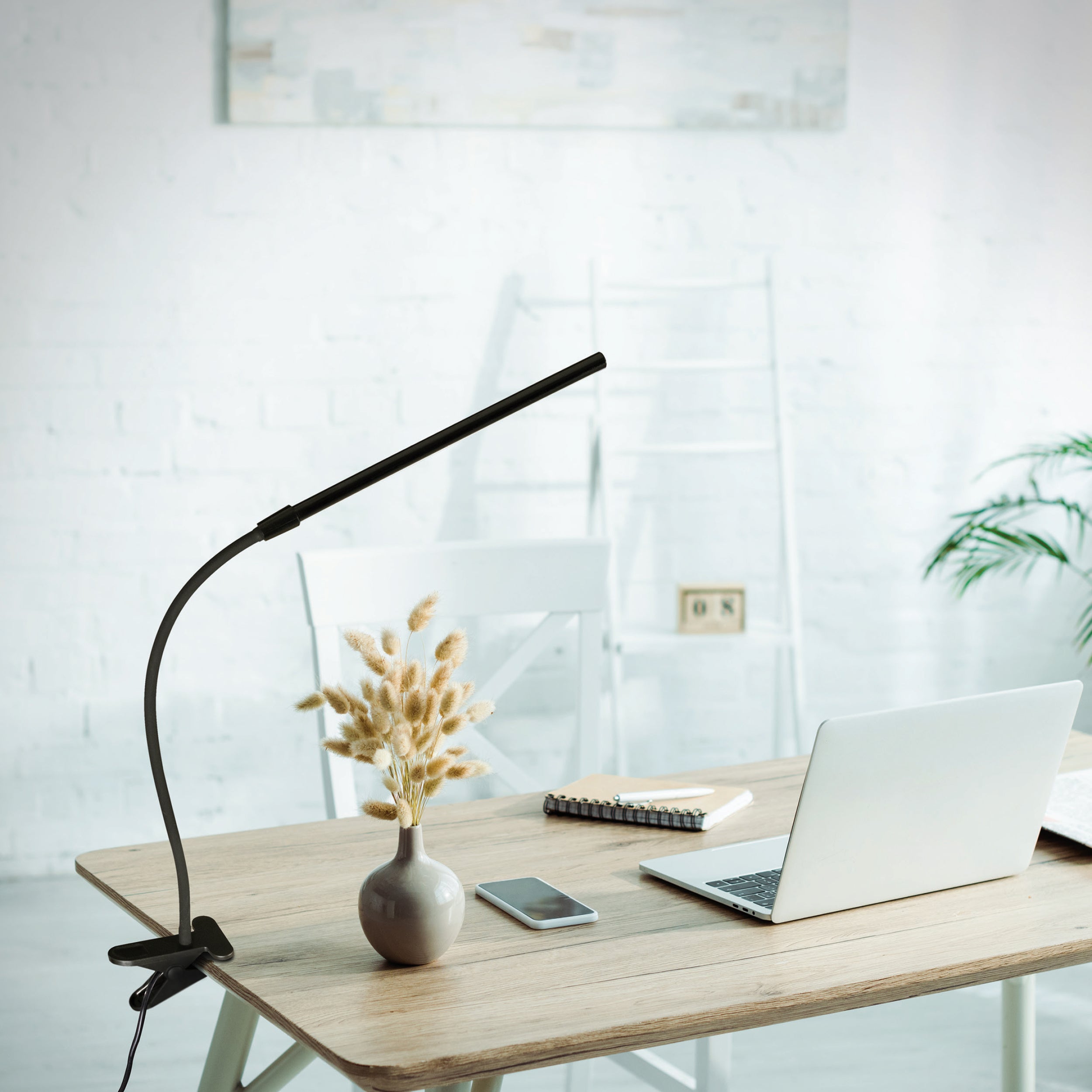 Clip and Clamp Lamps