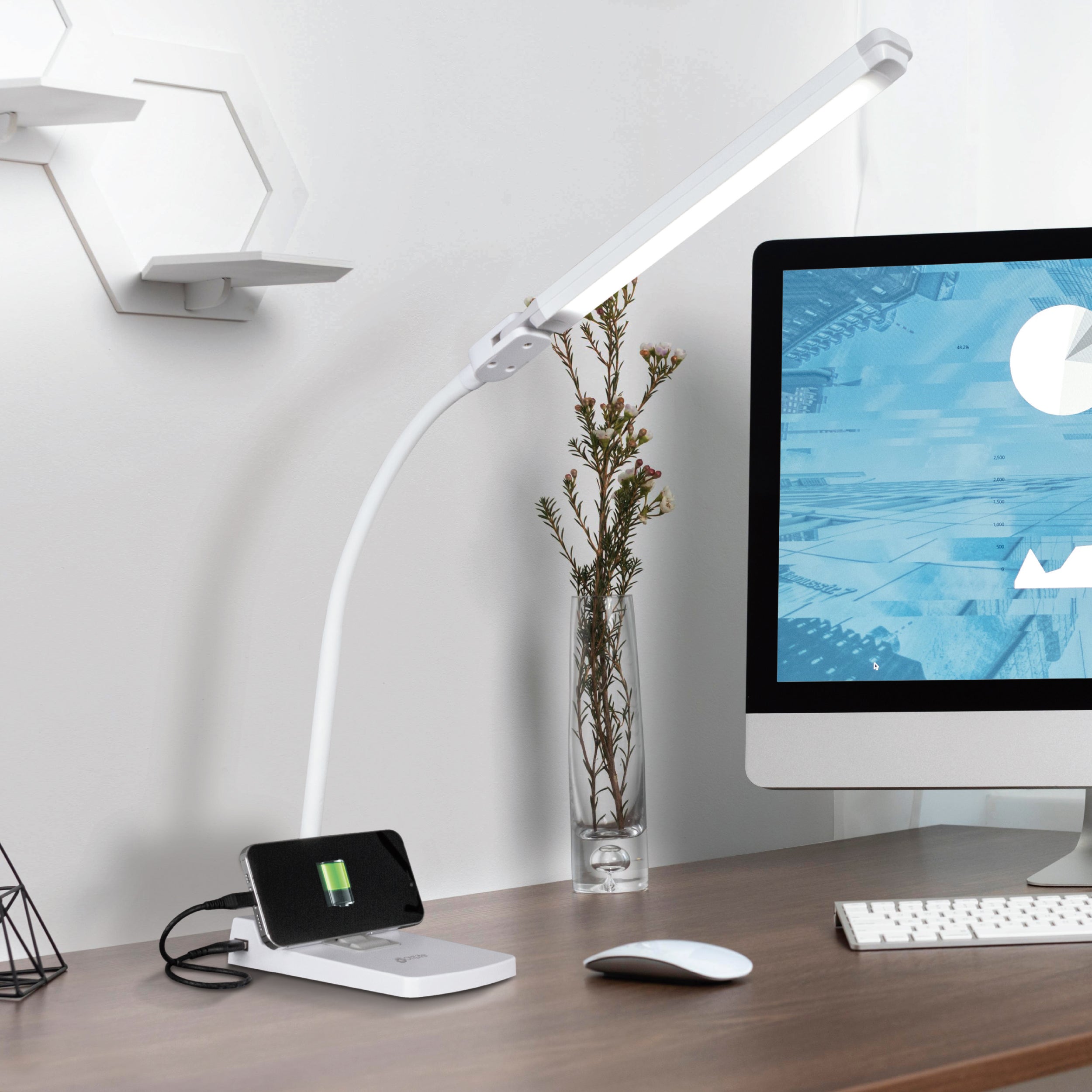 Swivel LED Desk Lamp with USB Charging and Stand