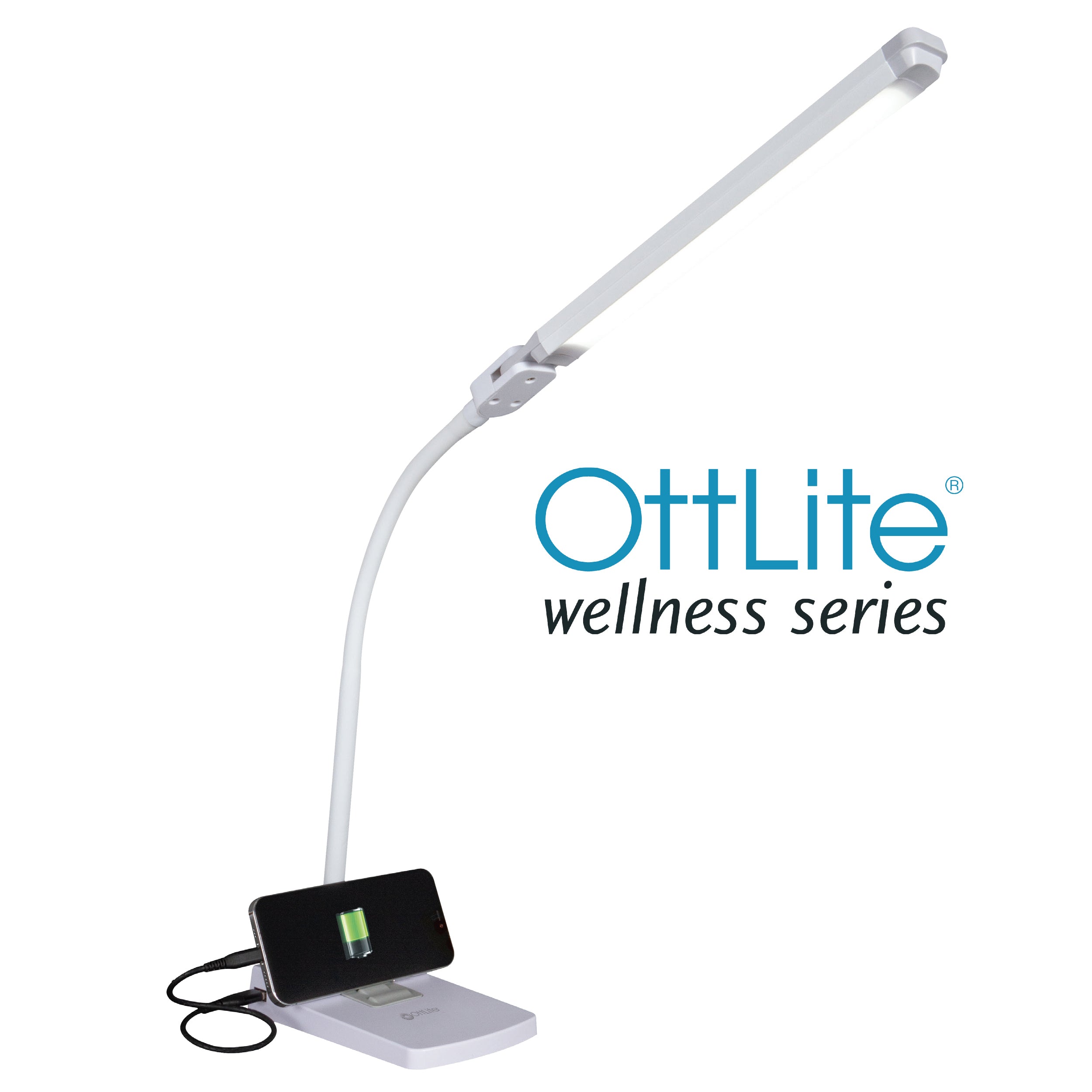 Swivel LED Desk Lamp with USB Charging and Stand
